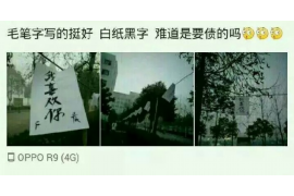 六安六安的要账公司在催收过程中的策略和技巧有哪些？