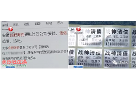 六安为什么选择专业追讨公司来处理您的债务纠纷？